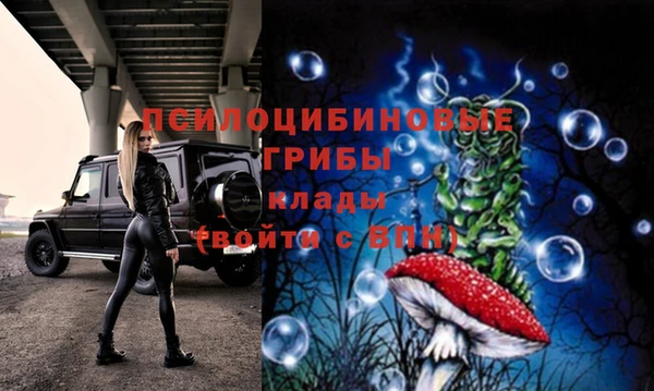 mix Лабытнанги
