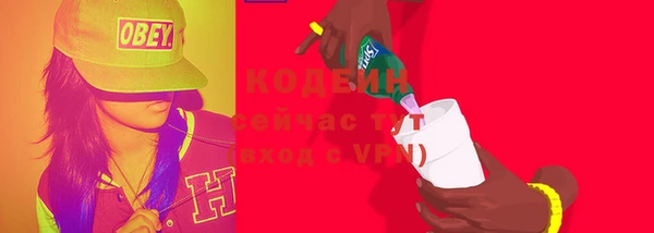 индика Лиски