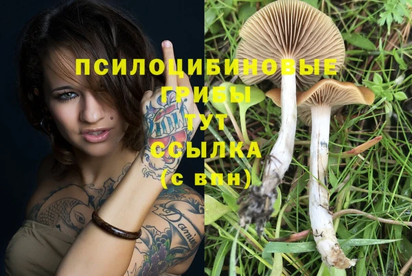 а пвп мука Лагань