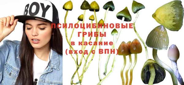 индика Лиски