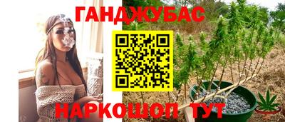 ГАЛЛЮЦИНОГЕННЫЕ ГРИБЫ Аргун
